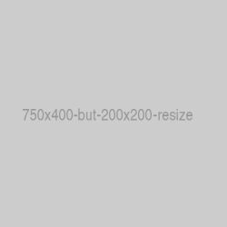 Seven hundred fifty by four hundred except for the fact that it was scaled down to a mere square